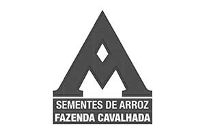 Comercialização de Grãos de Soja